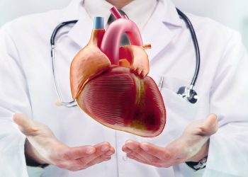 cardiology
